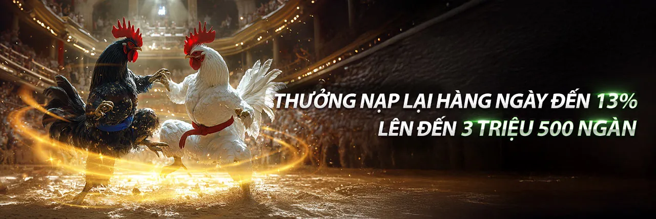 Đá Gà Trực Tuyến J7BET Link Mới